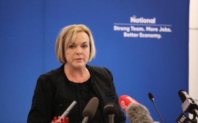 National leader Judith Collins announces infrastructure plan, RMA repeal