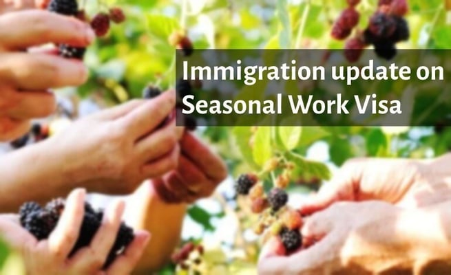 Immigration Update: Seasonal work visa available to more people