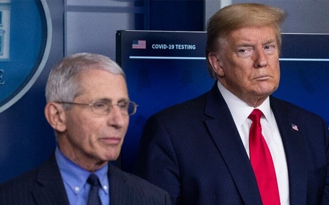 Covid cases shatter record in US, Trump and Fauci haven't met for 'months'