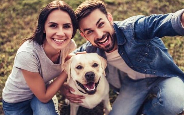 Just became pet parents? Read on to learn how to get it right