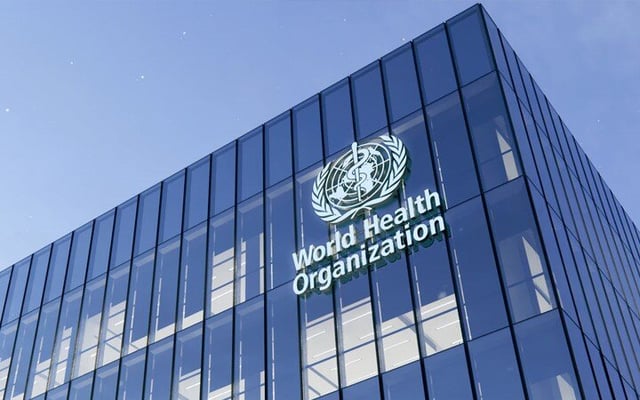 WHO official voices support for virus origin-tracing team in Wuhan