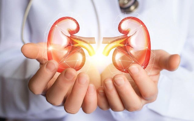 Golden rules to keep your kidneys healthy