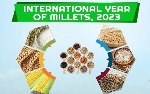 India's 'murukku' diplomacy gets unanimous support in UN on Year of Millets