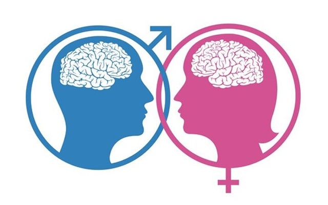 Study reveals differences between men and women's brains