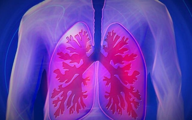 Covid causes 'unexpected' cellular response in lungs: Study