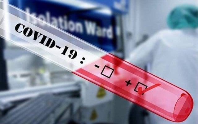 New all-in-one test for Covid-19