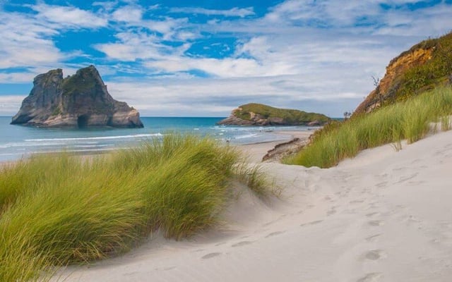 NZ failing to meet climate targets; more drastic action needed