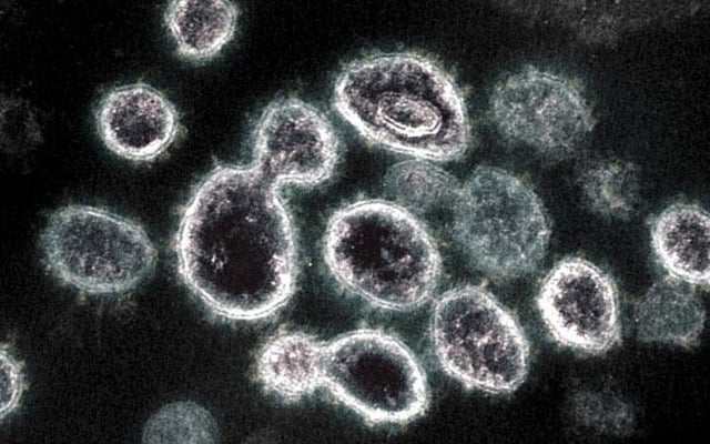 Covid: Woman aged 90 died with double variant infection
