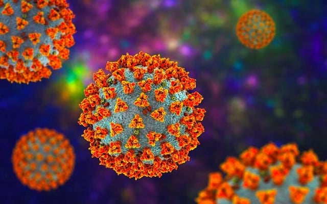 Covid-19 case update: 13 new community cases reported in NZ today