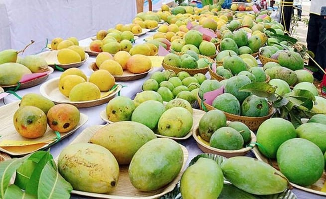 India's mango export to US may surpass 1,095 Million Tonnes in 2022