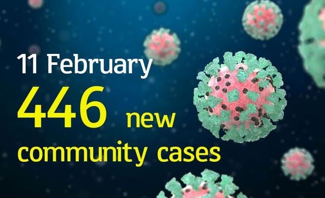 New Zealand has 446 new community cases - its highest ever!