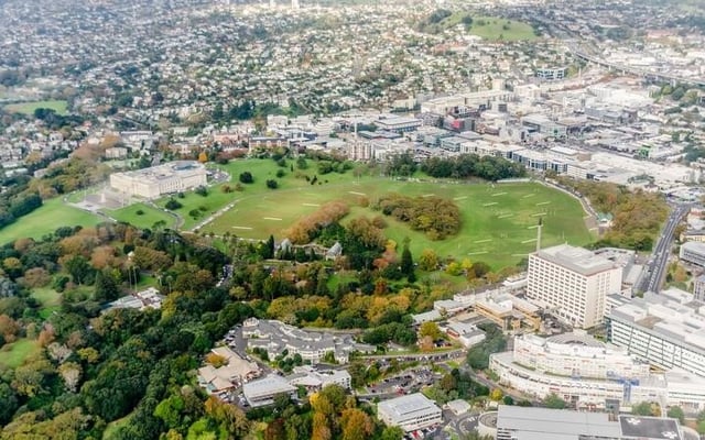 Auckland Domain closed to vehicles due to camping protesters