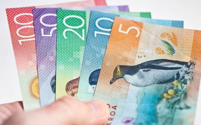 Covid Support Payment: Self-employed contractors able to claim $13,200 over six weeks