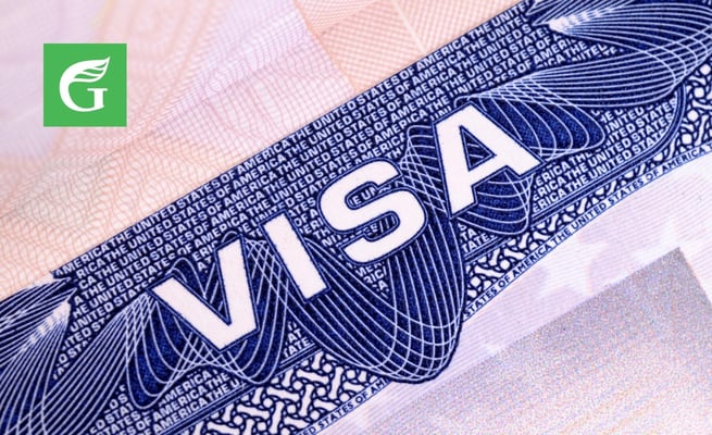 Greens call for overhaul of ‘double standards’ in investor category visa