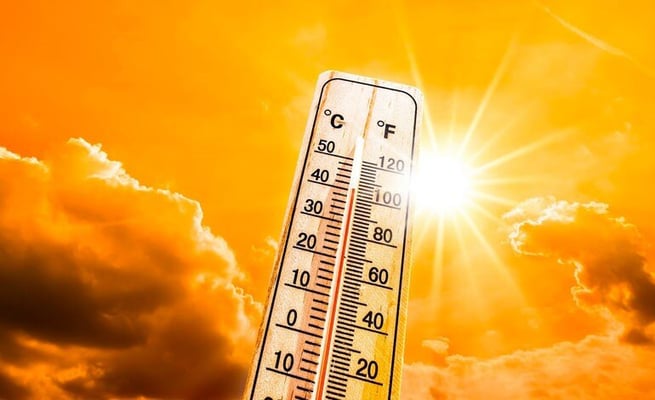 Heatwave in Europe underscores need for effective action to combat climate change: WHO