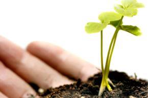 Ethiopia invites Indian farmers for commercial farming
