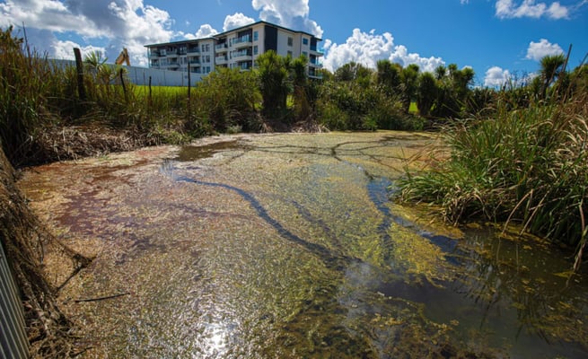 Some 'spongy' city properties already soaking up heavy rainfall in Auckland