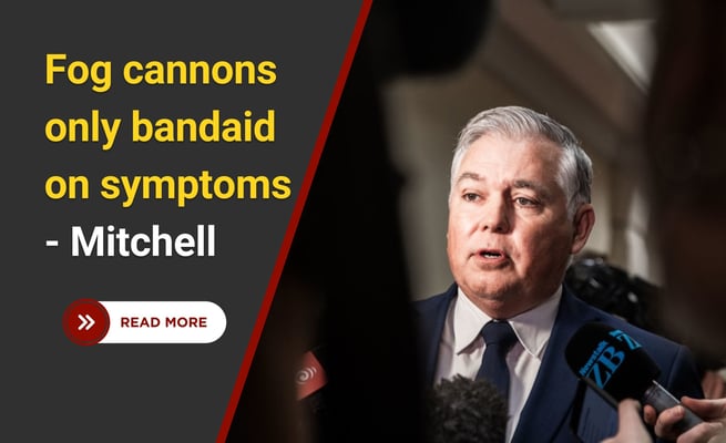Retail crime increased, fog cannons only bandaid on symptoms - Mitchell