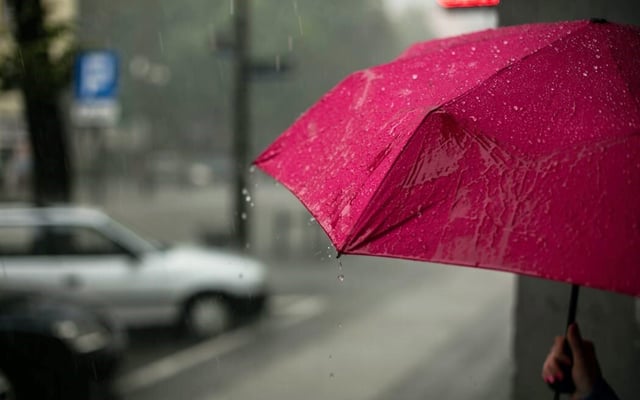 Weather: Heavy rain for New Zealand, gales, humid nights for weekend