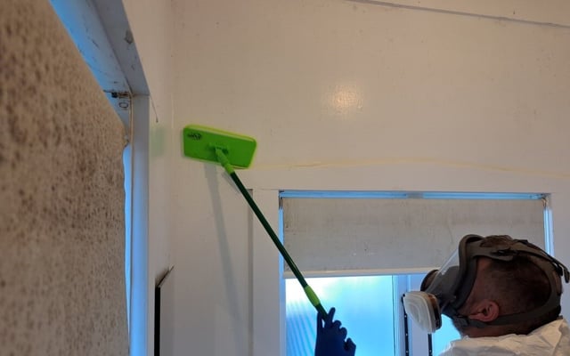 Mould thriving as Auckland's relentless wet weather continues