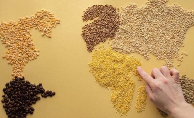 Discover the healthy world of alternative grains