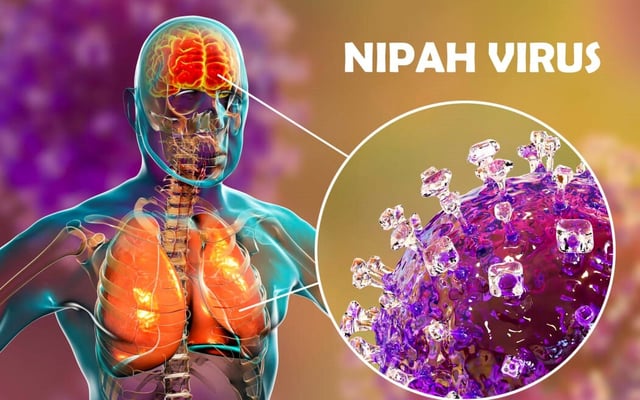 Over 700 people tested for Nipah virus after two deaths in India
