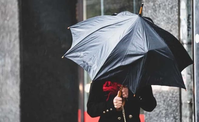 Severe winds forecast for South Island and lower North Island
