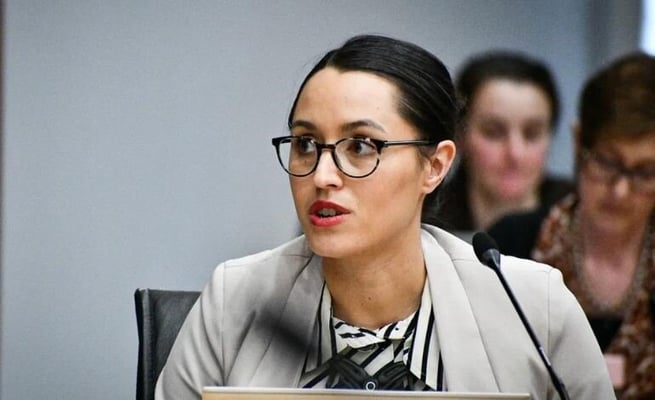 Rotorua mayor targets backpackers, hostels, motels that might be operating unsafely