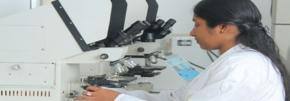 Indian-origin team develops novel gel for biomedical research