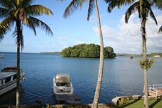 What makes a Fiji Indian