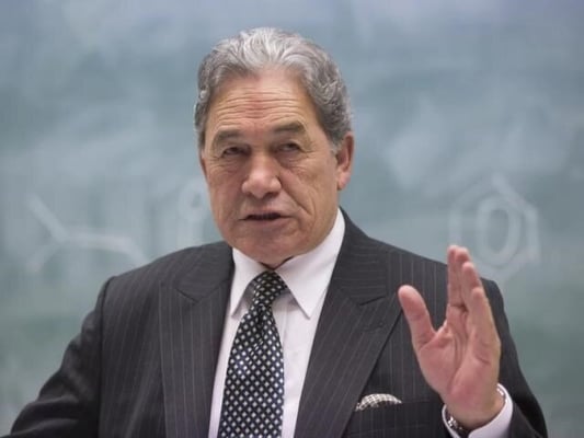 What would a government with Winston Peters look like?