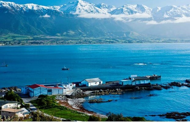 Kaikoura harbour opens amidst mixed emotions on first anniversary of the earthquake