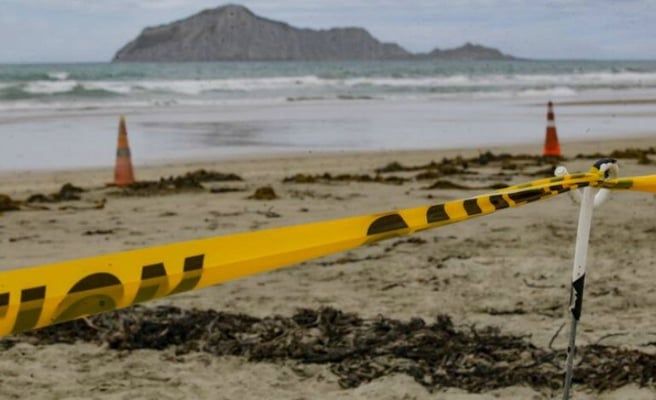 Indian man drowns despite a heroic rescue effort of local beachgoers