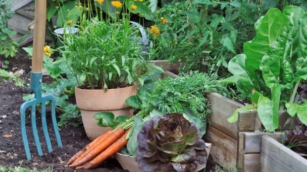 Gardening: Welcome autumn by preparing new plantings