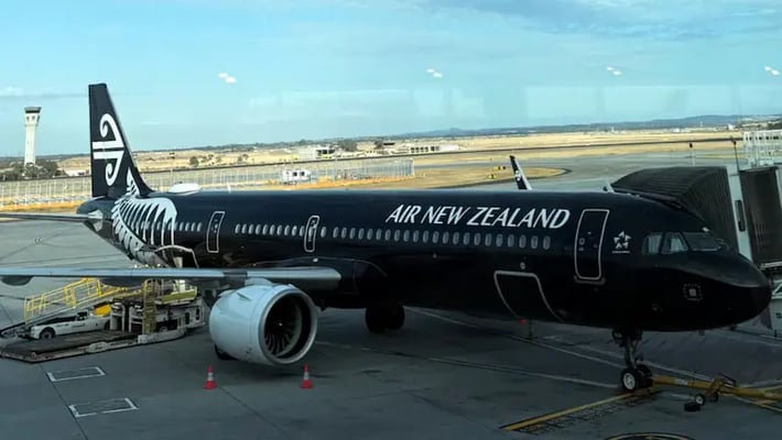 Why Most Commercial Airplanes Are White, But Air New Zealand Flies Black Jets