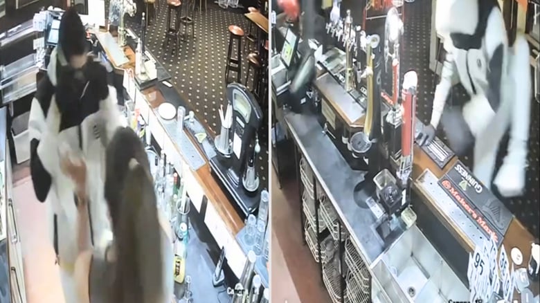 Kiwi-Indian managed Mt Roskill eatery hit in late-night robbery