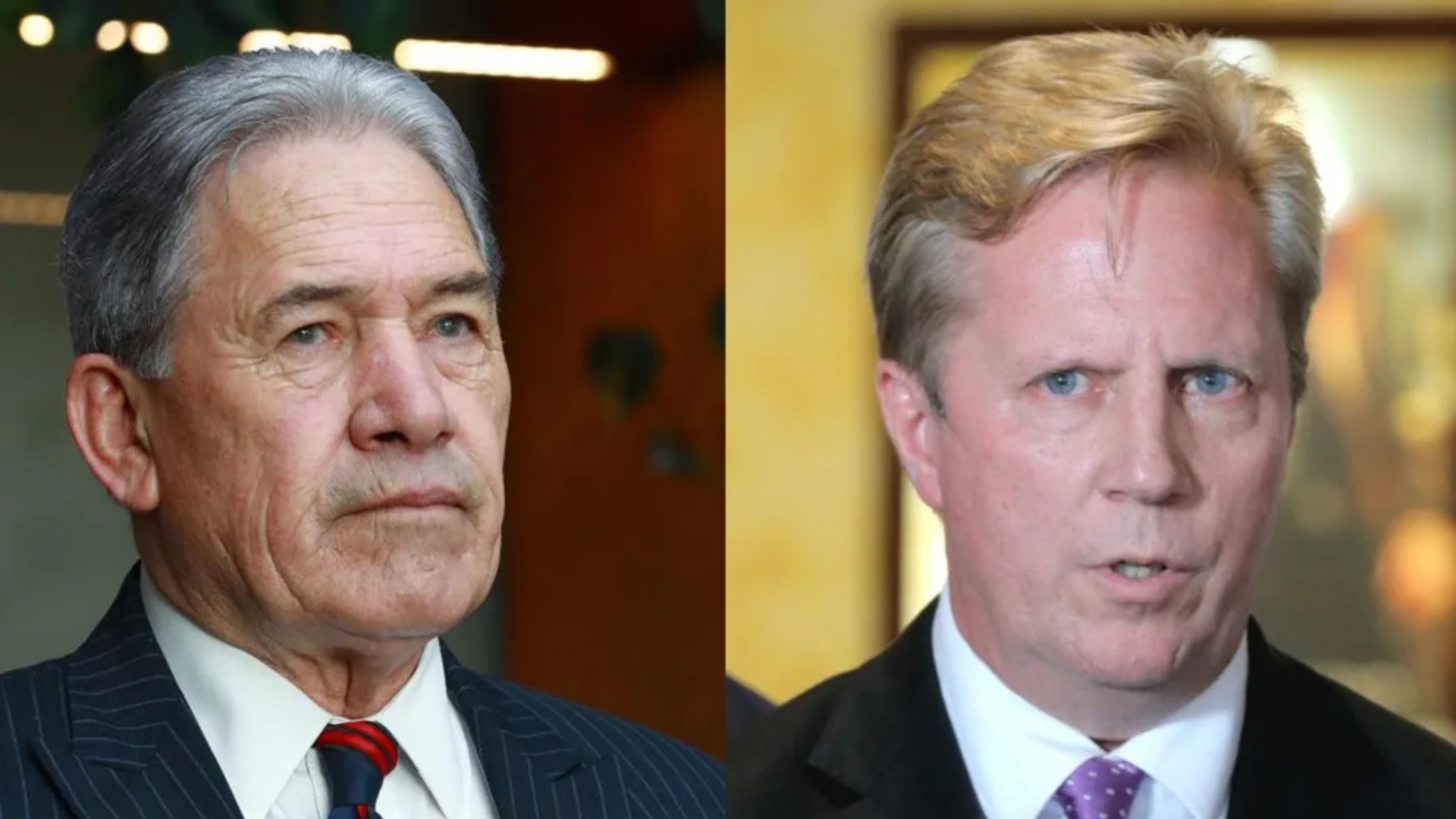 NZ First pulled support for India FTA before it was secured , Todd McClay reveals