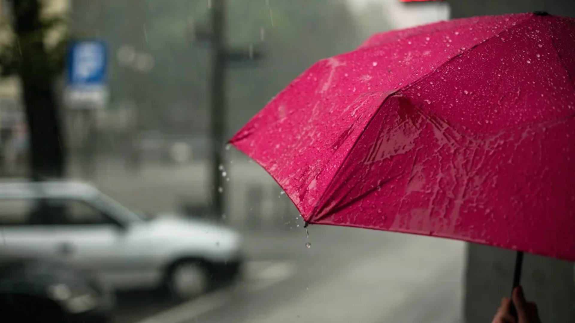 Heavy Rain Expected From Northland To Fiordland - Vimarsana News