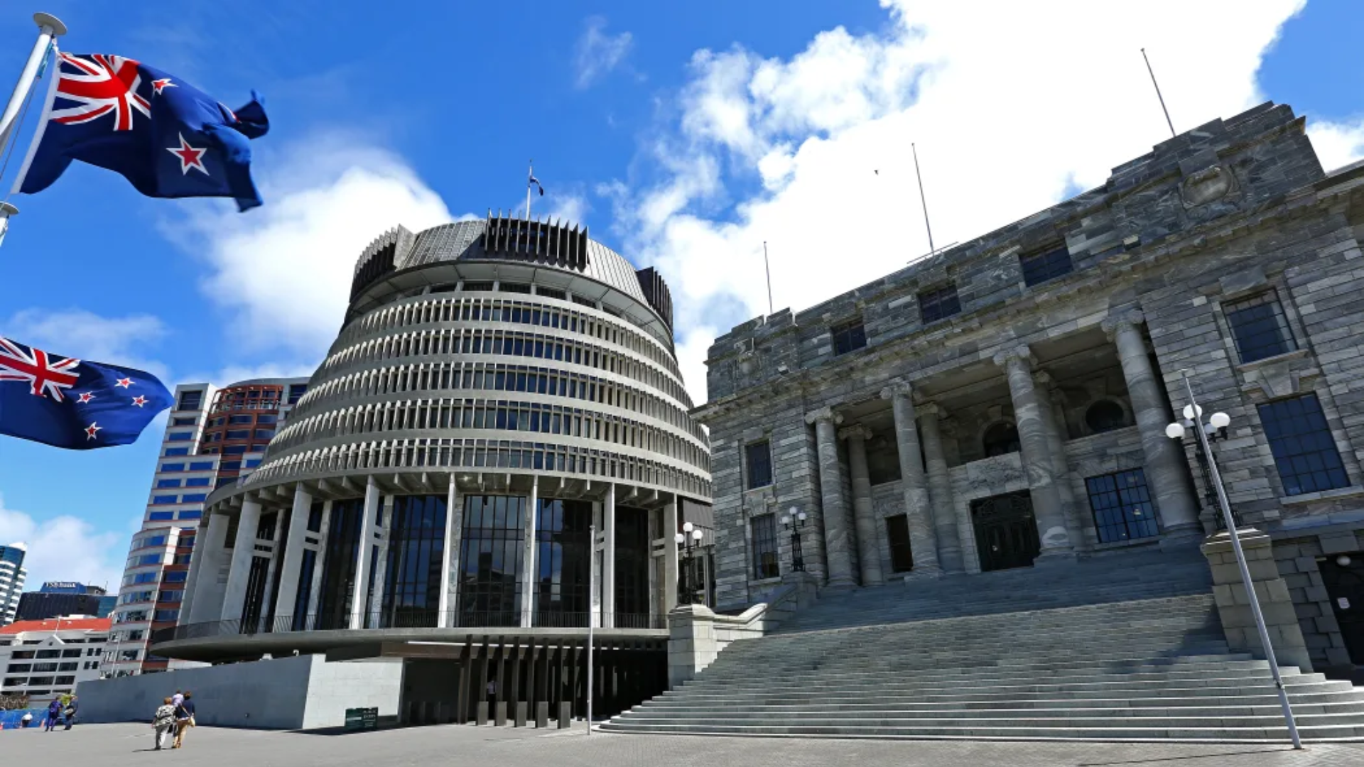 How To Get $521 From New Zealand Government - Vimarsana News
