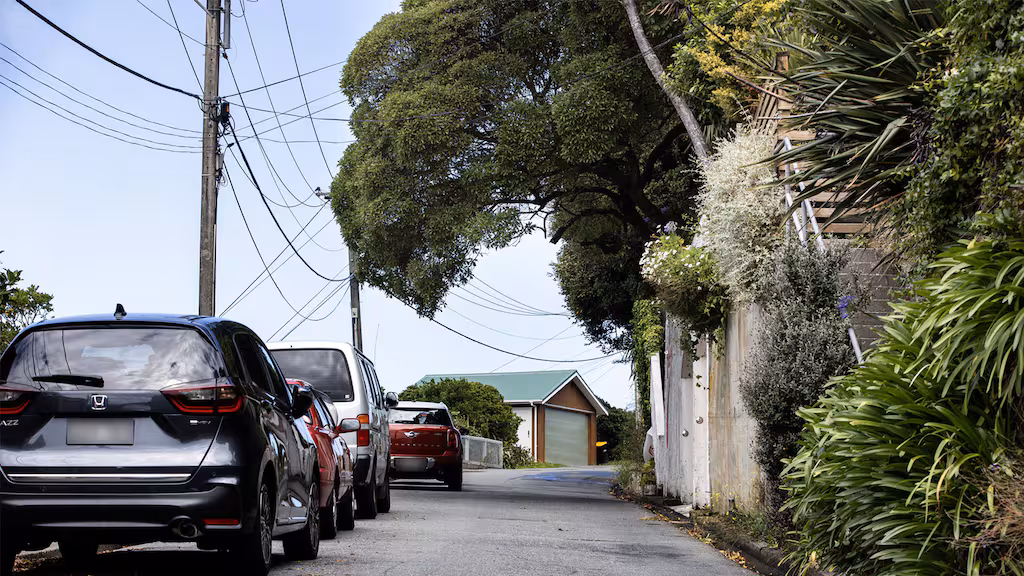 Yellow lines approved on Karaka Bays street amid resident row